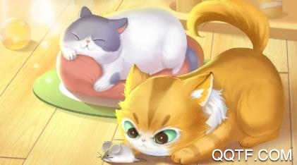 猫多多app红包版